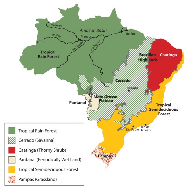 Natural Vegetation of Brazil